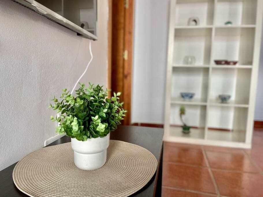 Apartamento Cerca De La Playa Torrecilla 네르하 외부 사진